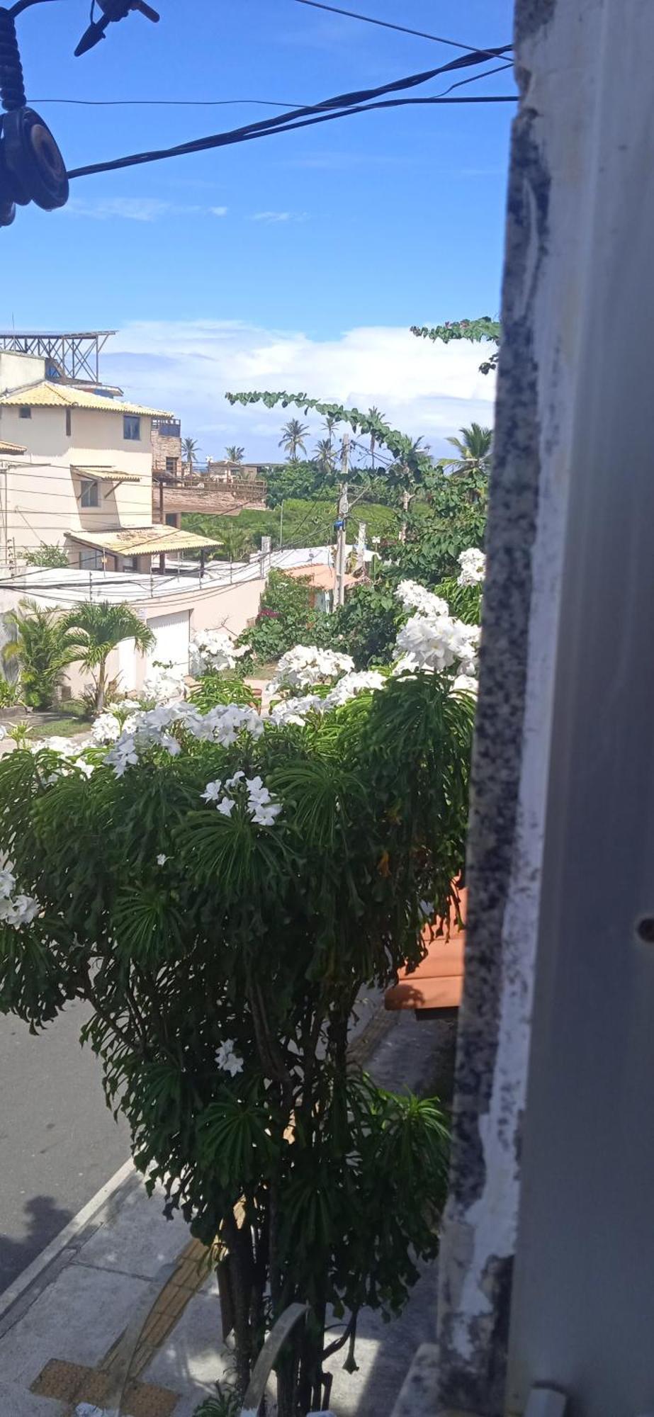 Kit Net Carlotta Apartamentos Salvador Luaran gambar